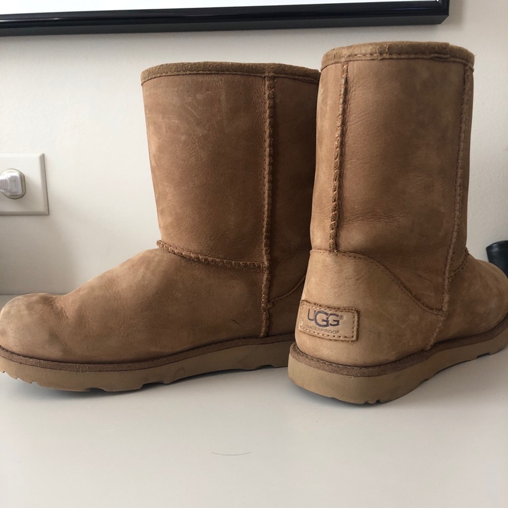 UGG WATERPROOF CLASSIC SHORT II-CHESTNUT